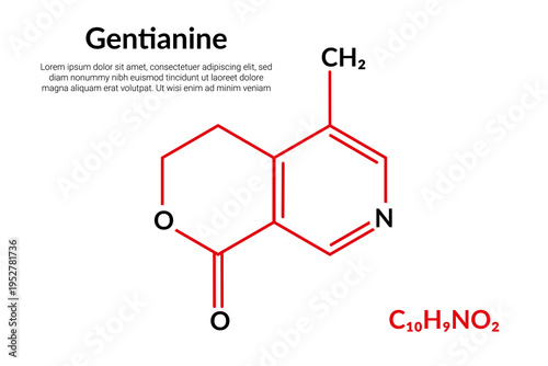 Gentianine, pyridine-derived alkaloid, molecular structure formula, suitable for education or chemistry science content. Vector illustration