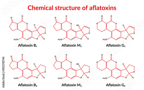 Aflatoxin B1, B2, M1, M2 and G1, G2 molecular structure formula, suitable for education or chemistry science content. Vector illustration