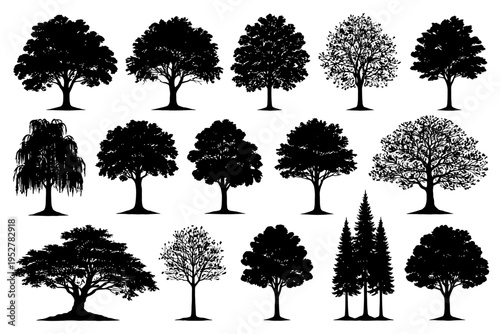 Variety of tree silhouettes in black and white collection.