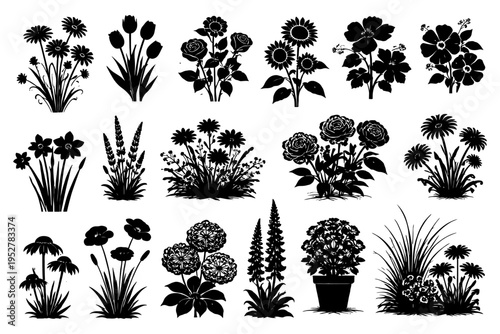 Collection of various floral silhouettes showcasing diverse plant types and arrangements.