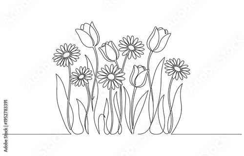 One Line Vector Drawing of Tulip Flowers. 