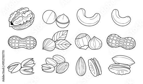 Minimal nut outline coloring page vector collection with almond walnut peanut pistachio and hazelnut line illustrations