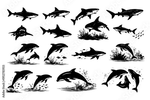 Black and white shark and dolphin silhouettes in dynamic poses.