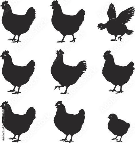 Chicken Silhouettes Collection Various Poses Farm Animal Graphics