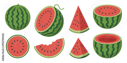 Collection of fresh watermelon fruits presented in various whole and sliced shapes and sizes Vector