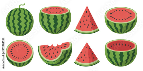 A collection of fresh whole watermelons, cut halves, and triangular slices with dark red pulp Vector