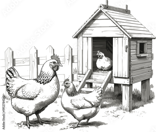 Farm Chickens near Coop and Fence Black and White Line Drawing Rustic Countryside Scene