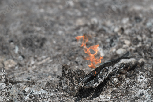 Small flame is visible on a charred piece of wood in an area where a fire has recently burned