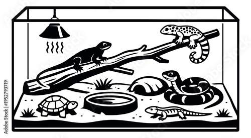 Line art exotic pets set featuring a gecko, lizard, snake, turtle, and salamander in a terrarium for pet care education
