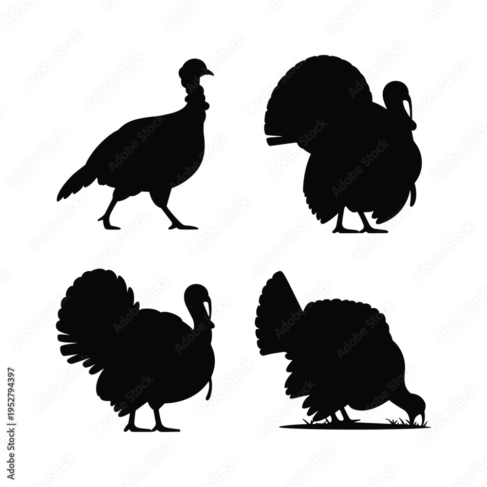 Fototapeta premium Wild turkey silhouettes collection: multiple poses for autumn and nature designs