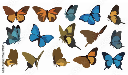 Colorful Butterfly Collection Vector Illustration Flying Insects Isolated White Background