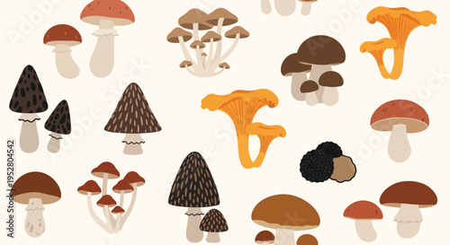 variety of colorful mushroom illustrations in different shapes and sizes on a light beige background for autumn harvest or forest theme food design