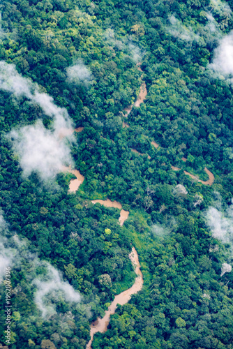 Foto Aerial view from an airplane of a winding, muddy Amazonian river snakes through the dense primary rainforest of French Guiana, near Saül