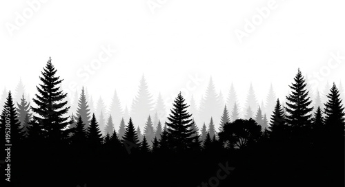 Black silhouettes of evergreen pine trees.