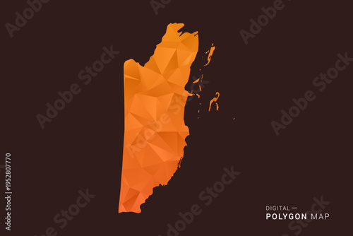 Belize Map - low poly polygon vector, geometric triangulated silhouette in orange and dark brown tones, clean modern infographic style, isolated background.