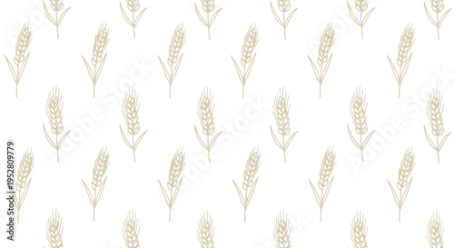 Wheat stalks seamless pattern on white background, natural agricultural harvest design, organic food ingredient illustration, simple hand drawn elements