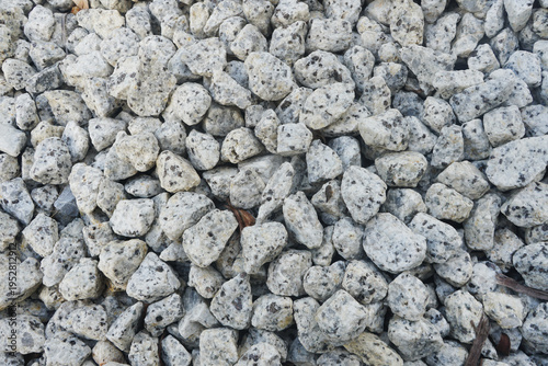 Dalmatian grys granitowy rocks texture and background
