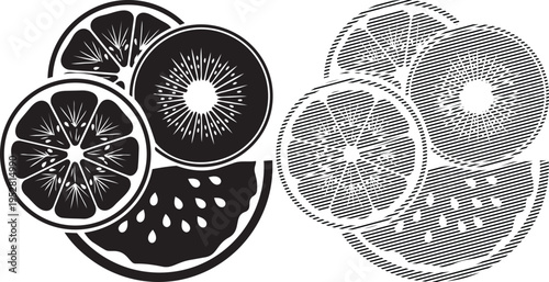 Comparison of citrus cross-sections and internal structural patterns