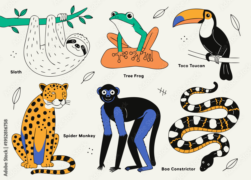 Naklejka premium Cute cartoon rainforest animals set. Sloth, tree frog, toco toucan, spider monkey, jaguar and boa constrictor. Jungle wildlife vector illustrations. vector icon 