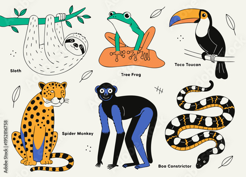 Cute cartoon rainforest animals set. Sloth, tree frog, toco toucan, spider monkey, jaguar and boa constrictor. Jungle wildlife vector illustrations. vector icon
