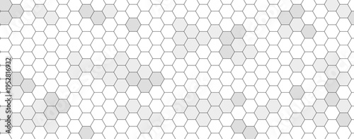 White and gray hexagonal grid texture. Abstract honeycomb pattern with geometric lines reminiscent of a honeycomb. Flat vector illustration on a white background for packaging, wallpaper, branding, an