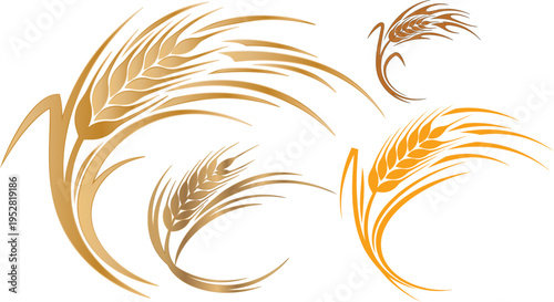 Set of 3 golden wheat icons vector