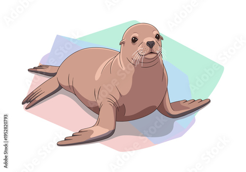 Cute cartoon sea lion illustration with geometric background and clean lines