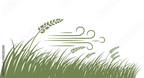 Wind blowing through grass, nature concept, fresh air and movement