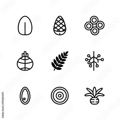 Collection of Botanical and Biological Icons Representing Seeds and Plants.