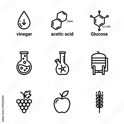 Collection of Icons Representing Vinegar Acetic Acid Glucose and Fermentation Ingredients.