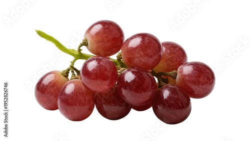 Photos Isolated fresh vibrant red grapes on a stem, ripe and delicious, healthy organic