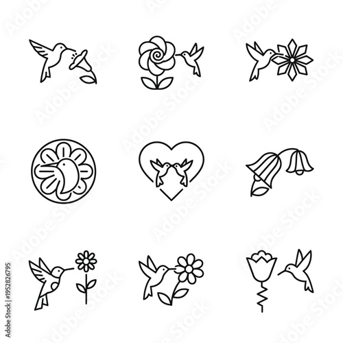 Collection of Line Art Hummingbird and Flower Icons.