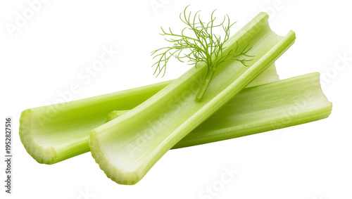 Photos Isolated fresh green celery stalks with aromatic dill sprig for healthy cooking