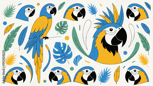 Tropical macaw and jungle foliage vector set with blue and yellow parrots and monstera leaves for rainforest branding and travel design .vector
