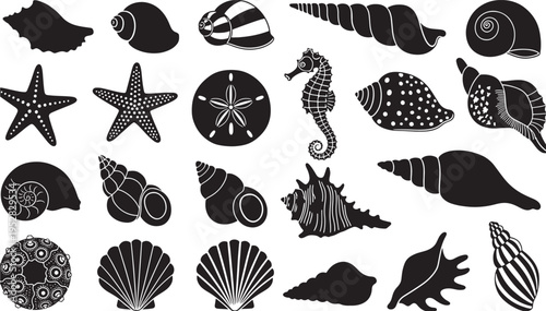 Seashell collection with starfish, seahorse, and sand dollar icons in silhouette for marine design elements