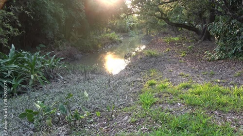 sunset over the pond