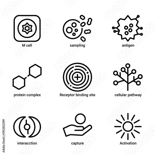 Collection of Scientific and Biological Icons for Medical Research.