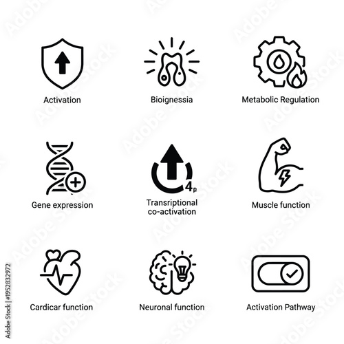 Collection of Scientific and Biological Process Icons.