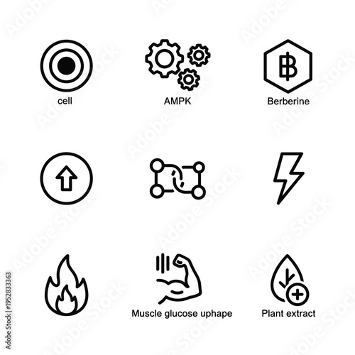 Collection of Scientific and Health Icons Representing Cellular Processes and Supplements.