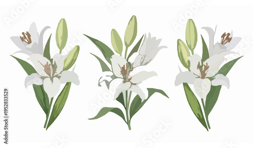 Elegant white lily watercolor floral bouquet vector style for wedding design