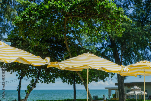 Empty swimming pool with sunbed and white umbrella in resort hotel for vacation leisure and white sand,resort neary sea and beach in summer.