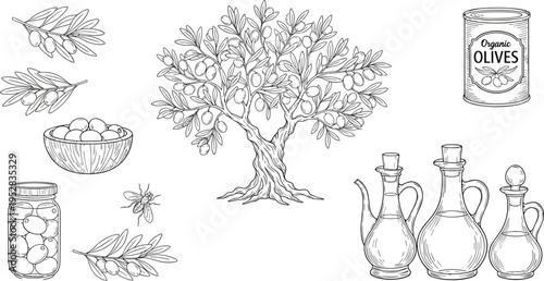 Detailed black and white illustration of olive tree with branches, olives, organic canned olives, pickled jar, bee, and ornate olive oil bottles for agriculture and culinary use