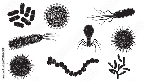 Microorganisms and viruses collection with diverse shapes including spherical, rod-shaped, and bacteriophage forms