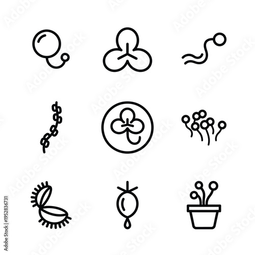 Collection of Simple Botanical and Biological Icons.