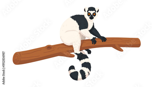 A cute ring-tailed lemur with black and white fur sitting calmly on a thick brown wooden branch Vector