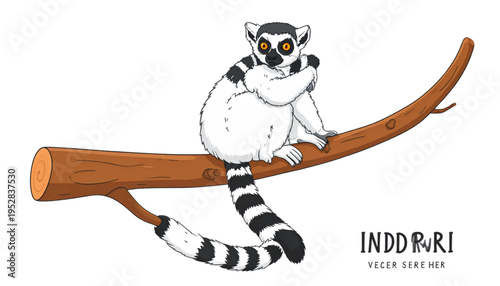 A detailed illustration of a cute ring-tailed lemur sitting calmly on a thick brown tree branch Vector
