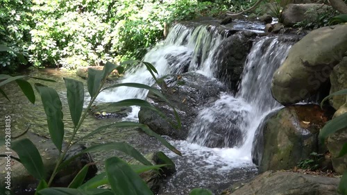 small waterfall in the forest