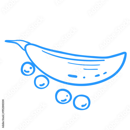 Pea pod and peas. Linear doodle vegetable illustration. Mediterranean lineart vector clipart for design.