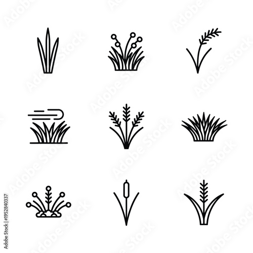 Collection of Simple Line Art Icons Representing Various Grass Types.