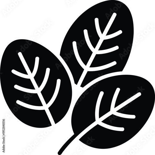 Leaves with prominent veins a simple graphic icon